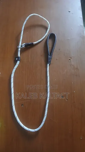 Dog Training Rope Leash