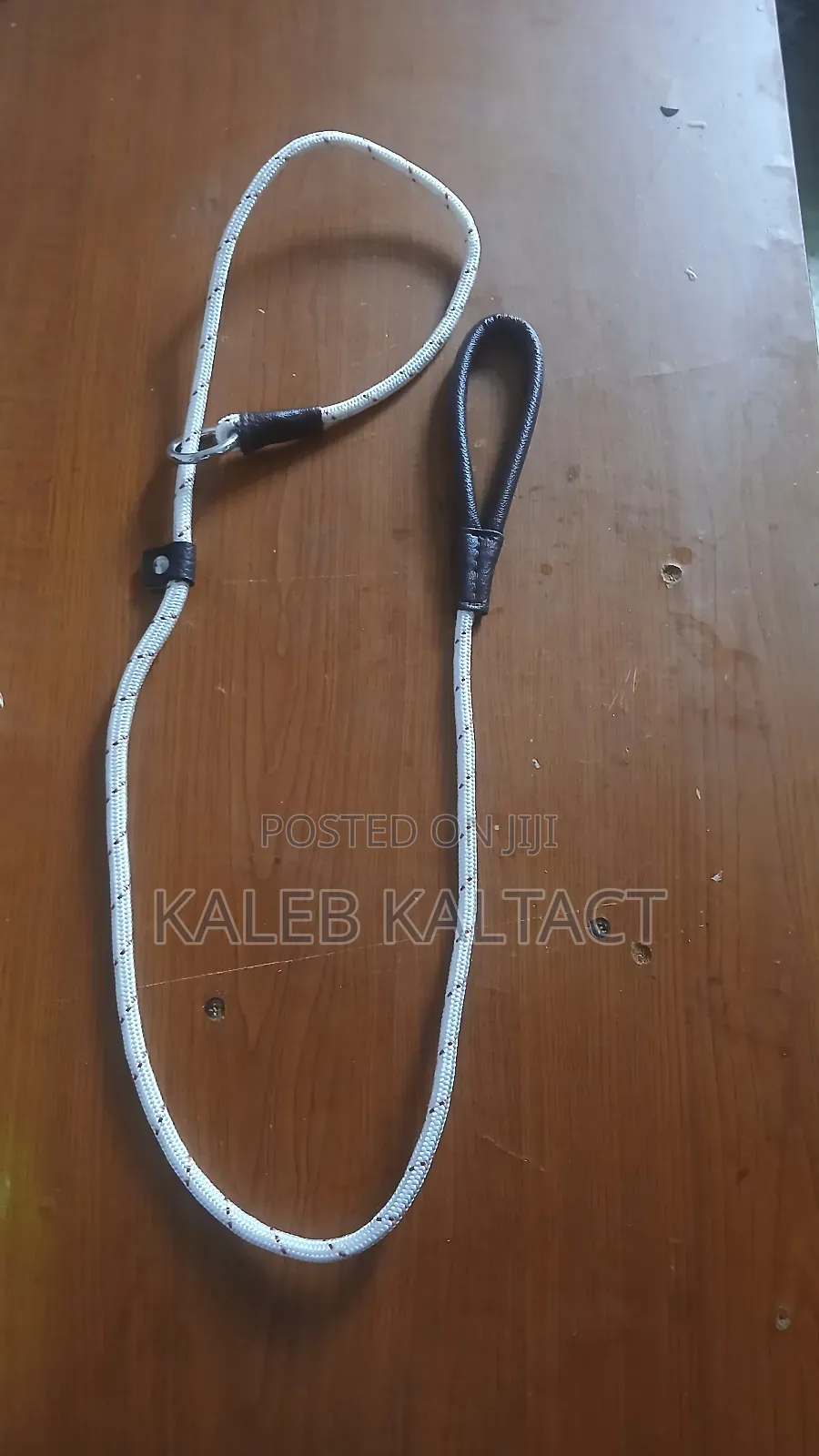 Dog Training Rope Leash