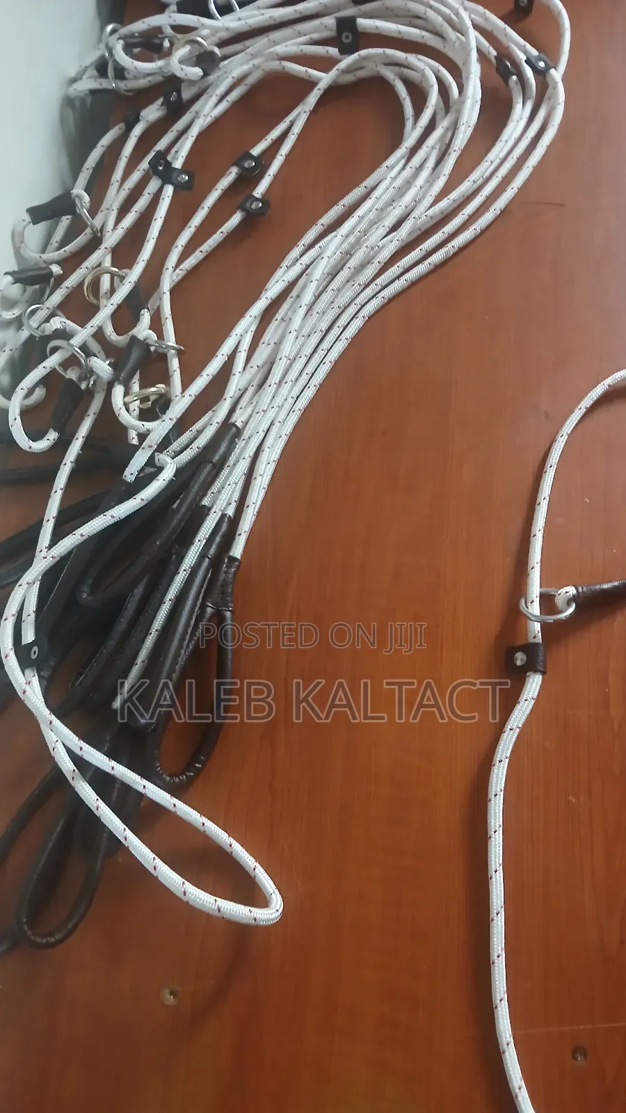 Dog Training Rope Leash