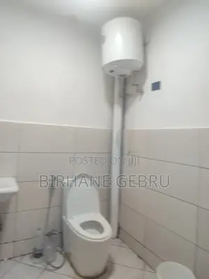 Furnished 1bdrm House in Luxury Ferinshed, Bole for rent