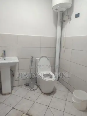 Furnished 1bdrm House in Luxury Ferinshed, Bole for rent