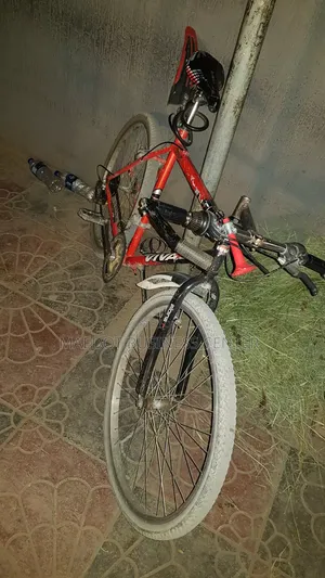 Viva Bicycle