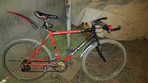 Viva Bicycle