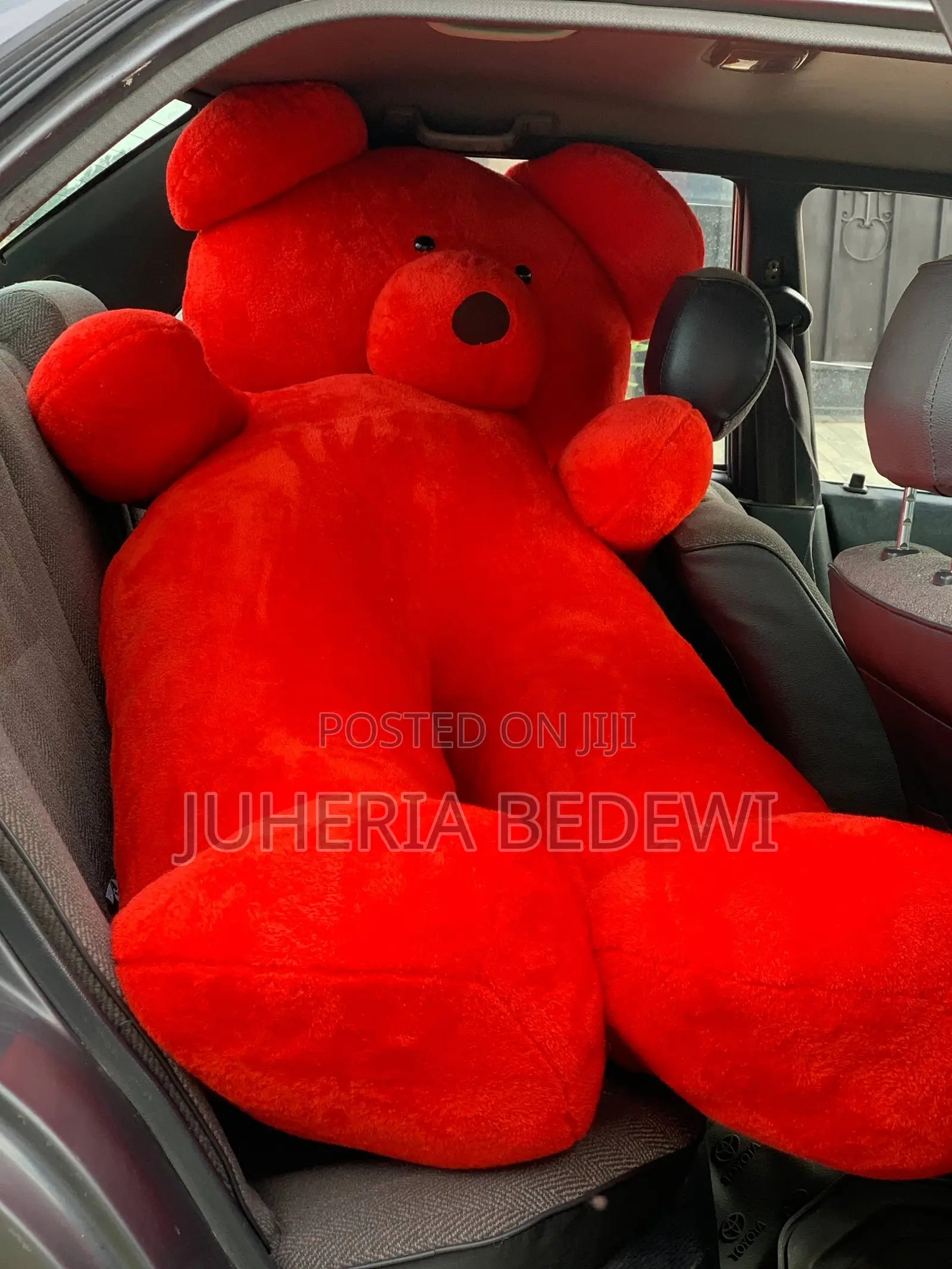 Teddy Bear