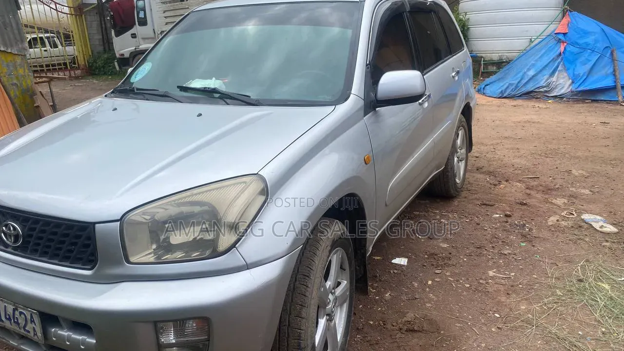 Toyota RAV4 2002 Silver