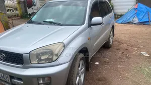 Toyota RAV4 2002 Silver