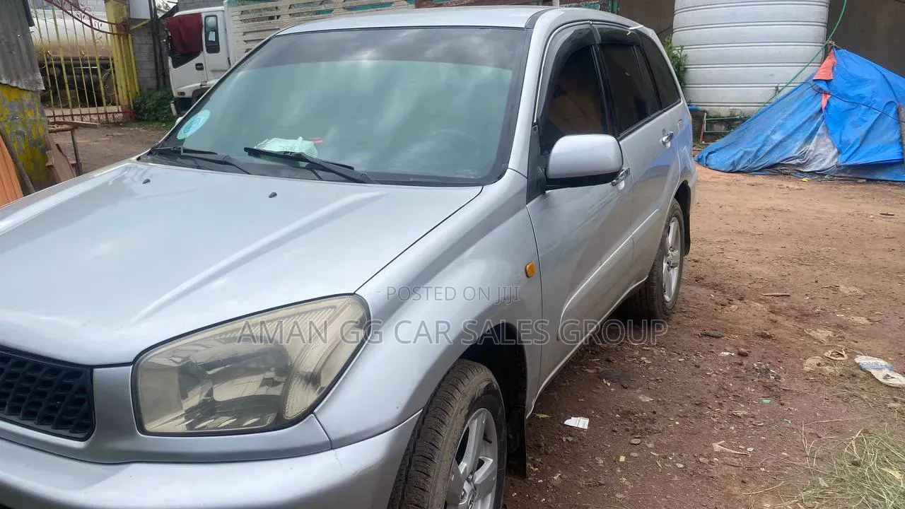Toyota RAV4 2002 Silver