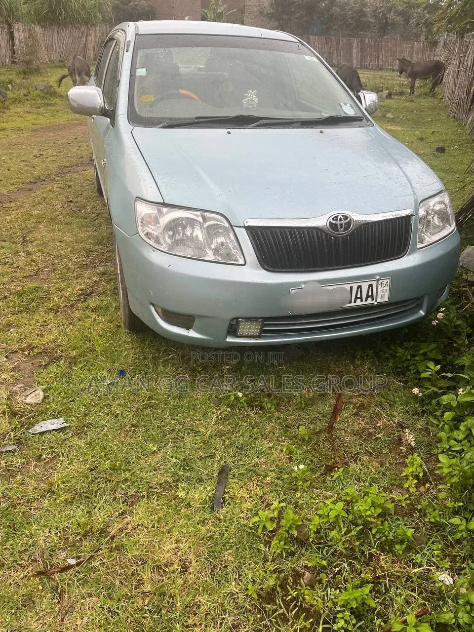 Toyota Corolla 2007 Blue