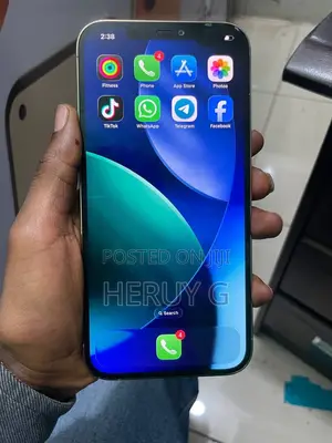 Apple iPhone 12 Pro Max 256 GB Gray