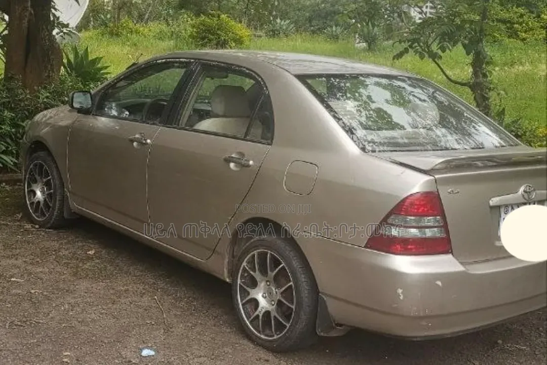 Toyota Corolla 2003 Purple