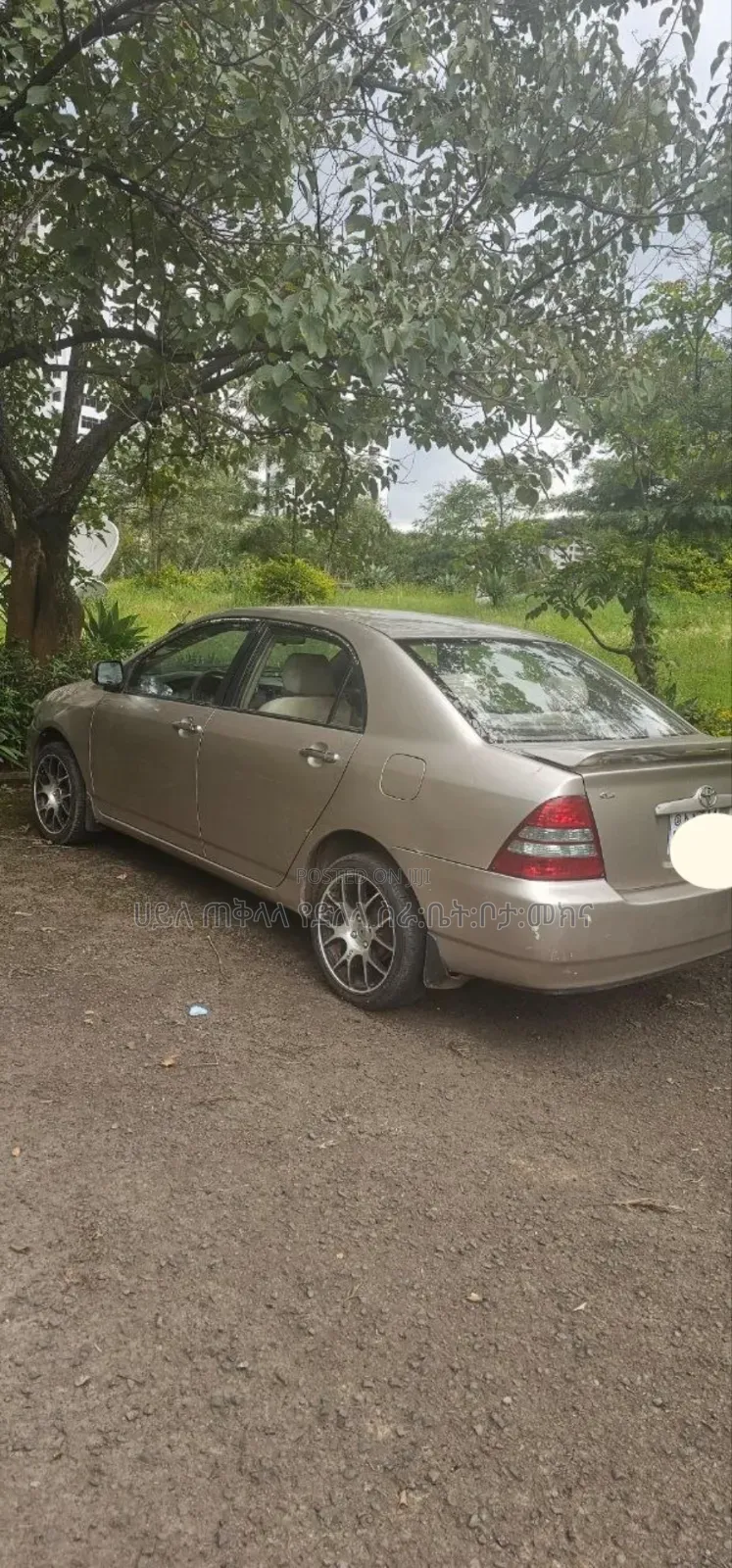 Toyota Corolla 2003 Purple