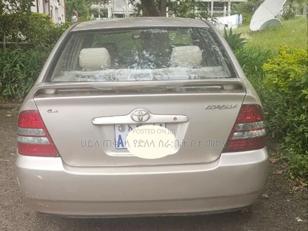 Toyota Corolla 2003 Purple