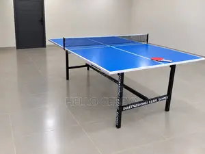 Table Tennis
