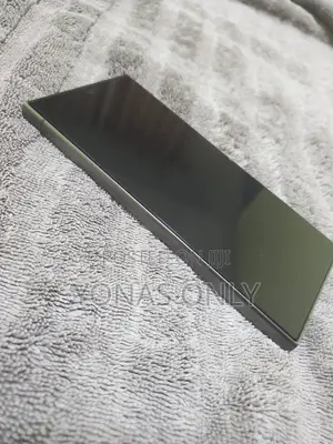 Samsung Galaxy S24 Ultra 256 GB Gray