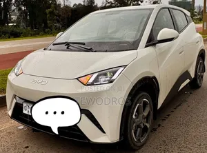 BYD Segul for Rent