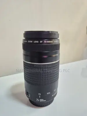 Canon 75-300mm Lense