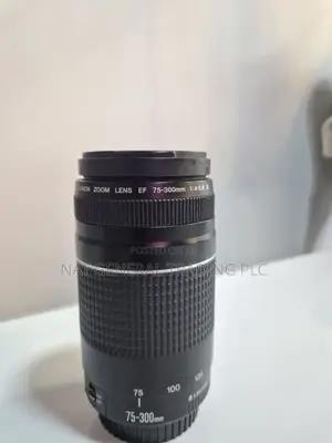 Canon 75-300mm Lense