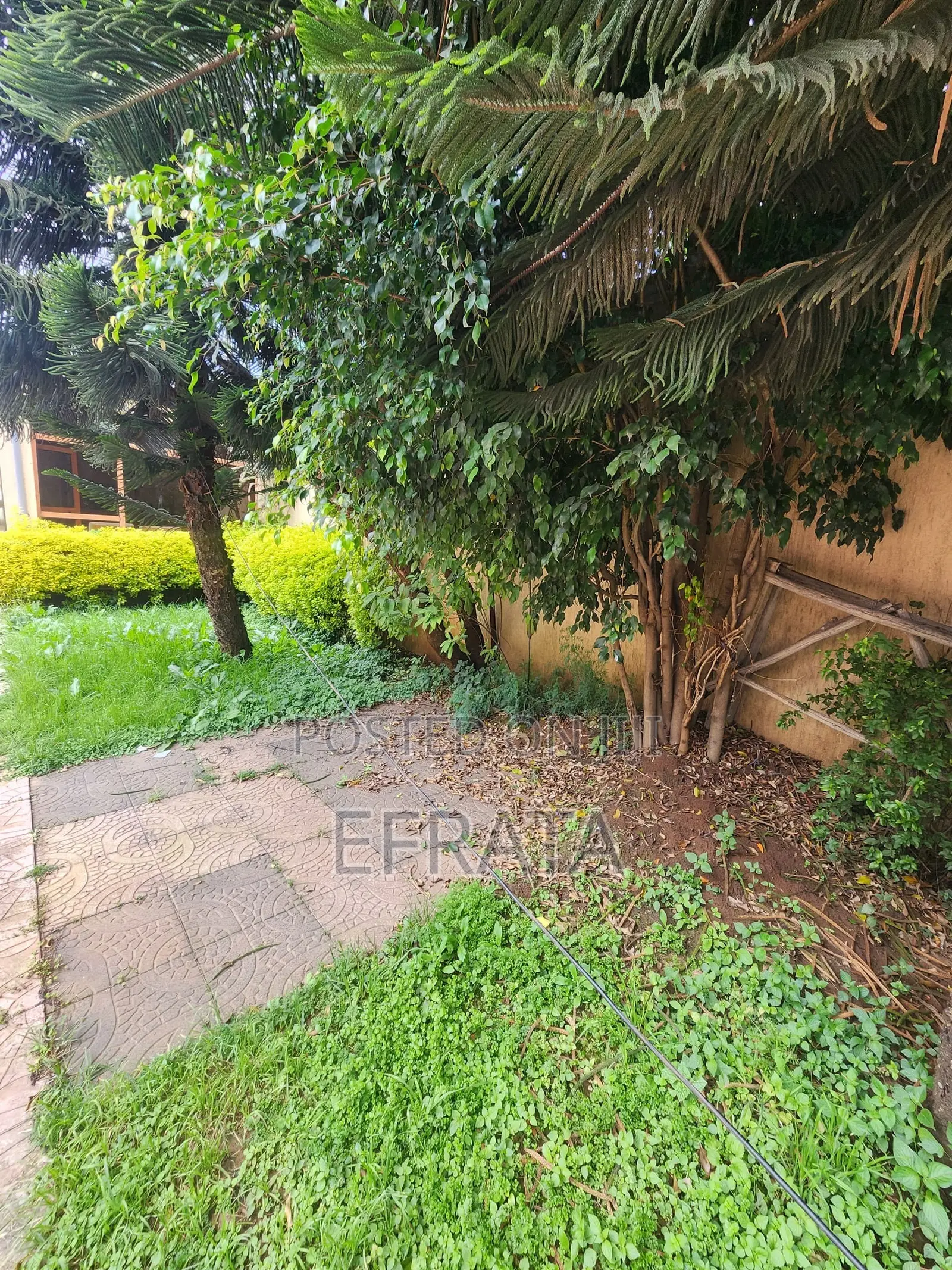 4bdrm House in Bole for rent
