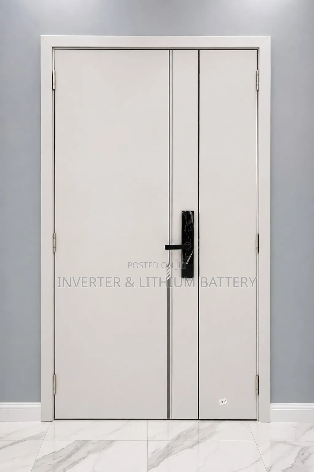 Carbon Fiber Doors
