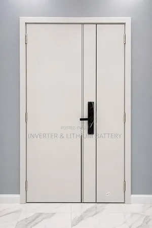 Carbon Fiber Doors
