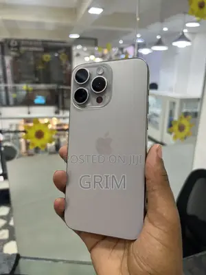 Apple iPhone 15 Pro Max 256 GB Silver