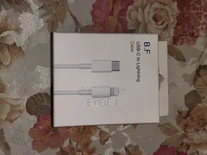 USB C to Lightning