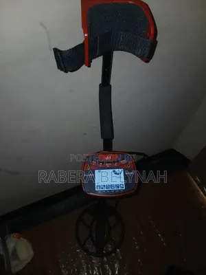 Metal Detector