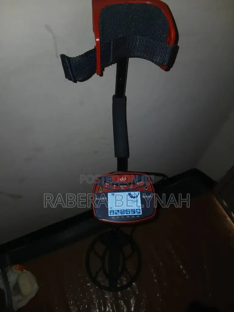 Metal Detector