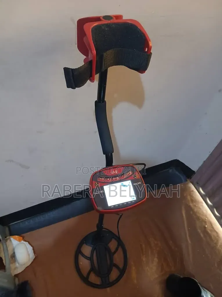 Metal Detector