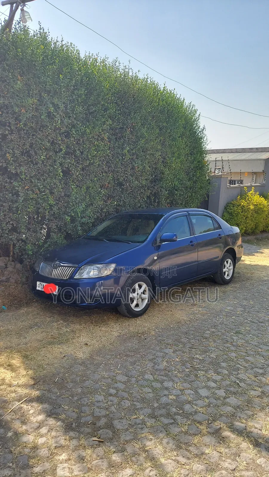 Toyota Corolla 2006 Blue