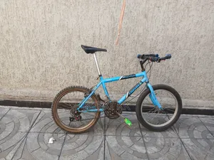 Bike Number 20