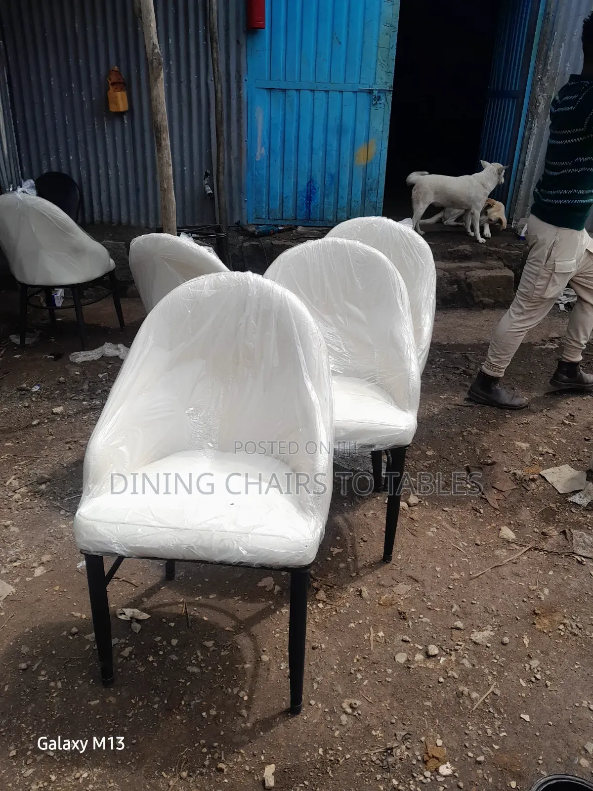 Dining Chairs