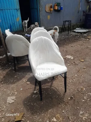 Dining Chairs