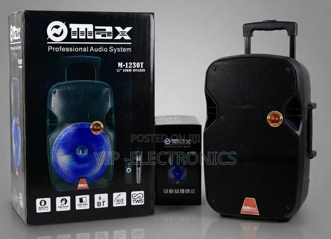 MAX Speaker 12-Inch Professional Bluetooth | LED Wireless Microphone