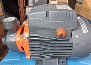 Leo 2HP Surface Water Pump