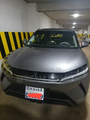BYD Yuan Up 2024