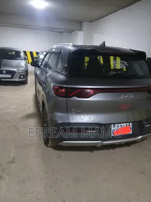 BYD Yuan Up 2024