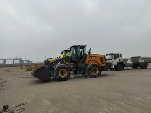Loader for Sale