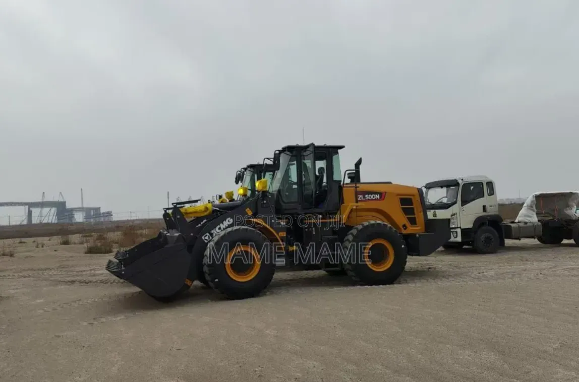 Loader for Sale