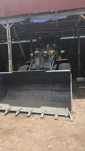 Loader for Sale