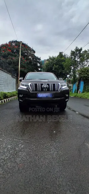 Toyota Land Cruiser 2019 Brown