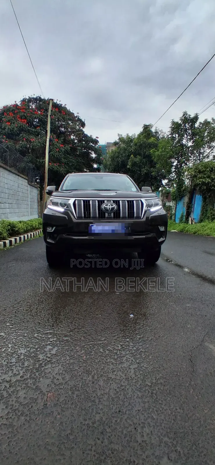 Toyota Land Cruiser 2019 Brown