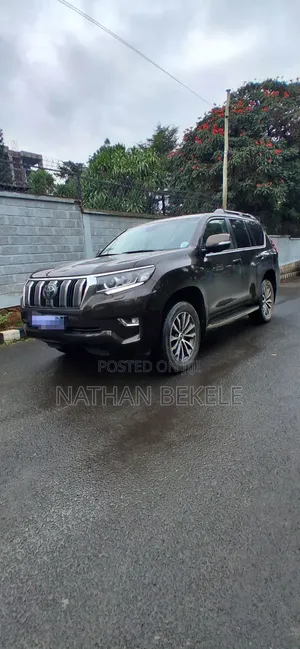 Toyota Land Cruiser 2019 Brown