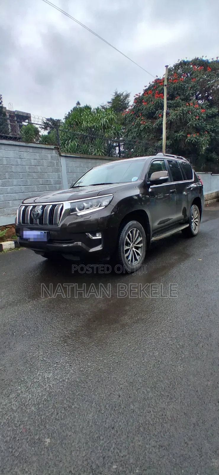 Toyota Land Cruiser 2019 Brown