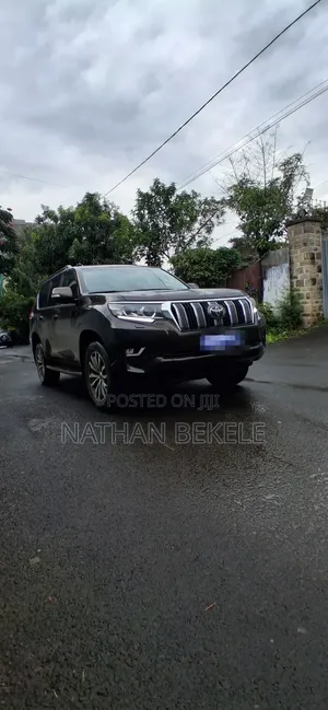 Toyota Land Cruiser 2019 Brown