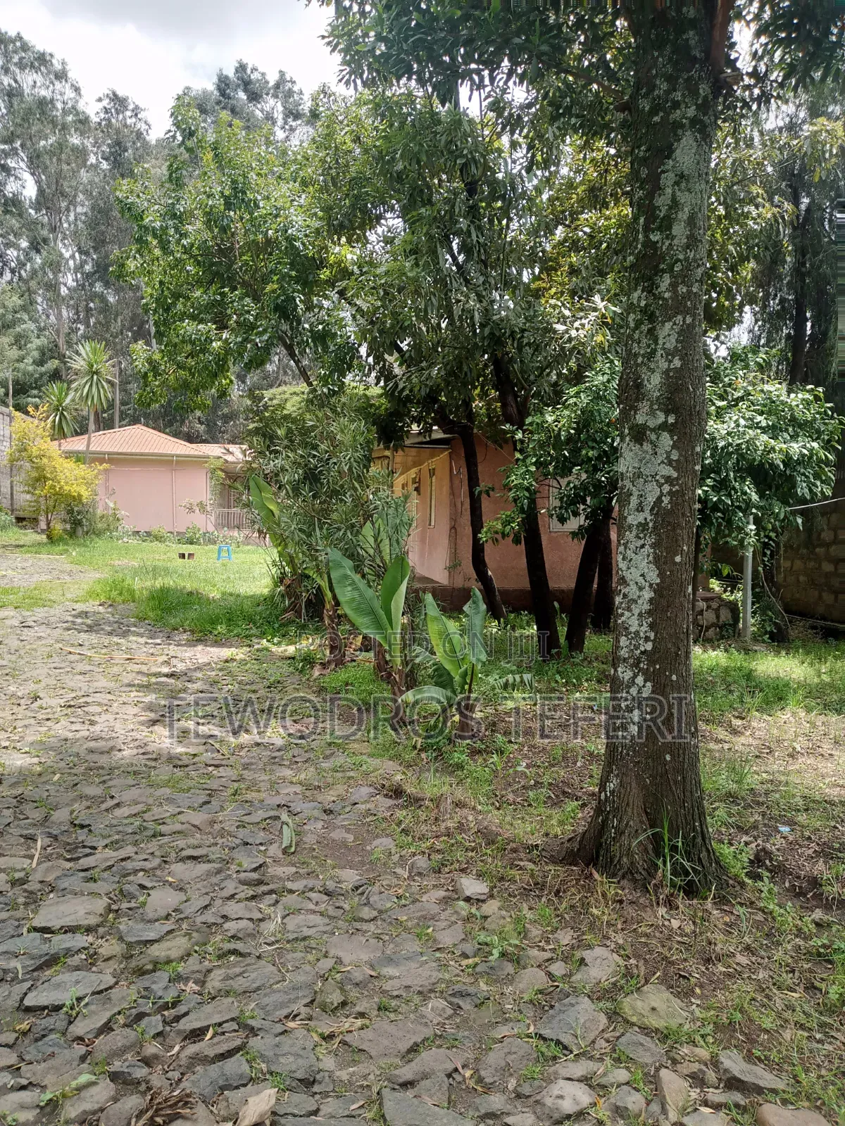 4bdrm House in Yeka for rent