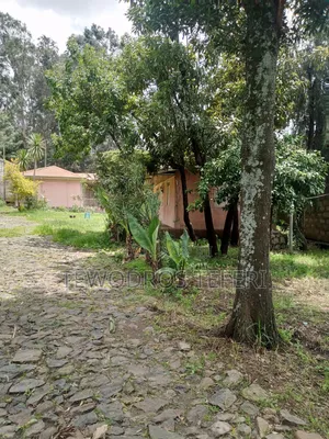 4bdrm House in Yeka for rent