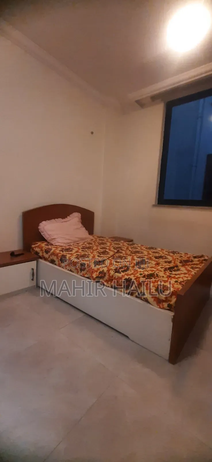 Furnished 3bdrm Apartment in Real, Bole for rent