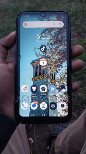 Huawei Y7 Prime 2019 32 GB Blue
