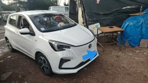New Changan BenBen 2023 White
